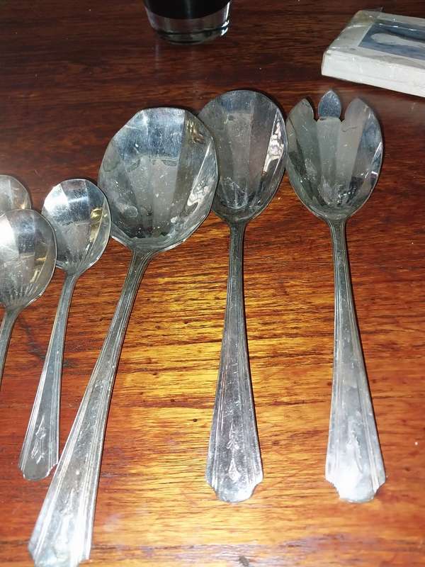 A lot of shell shaped spoons and serving sooons