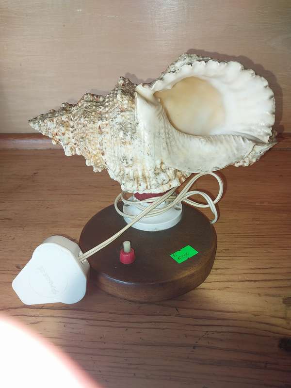 Nice shell lamp on wooden stand