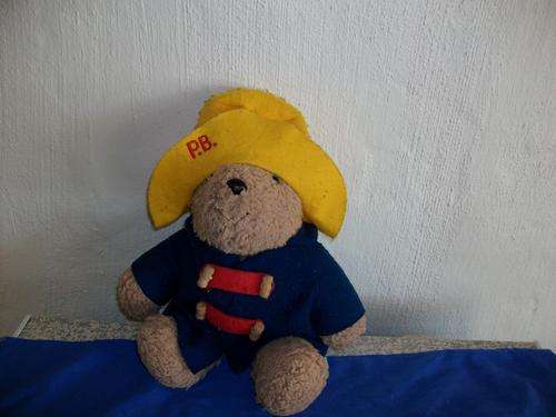 paddington bear