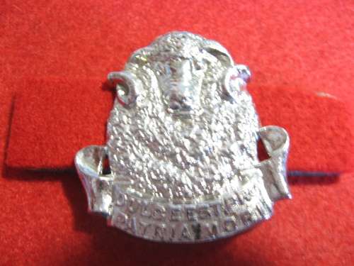Regt Groot Karoo chrome Beret badge