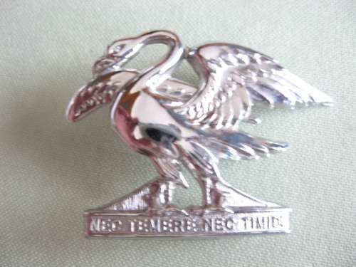 Regt Springs large cap badge