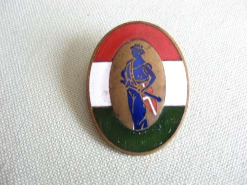 Italian enamelled badge unknown perhaps WWII association