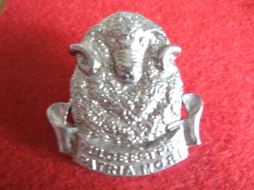 Regt Groot Karoo chrome Beret badge