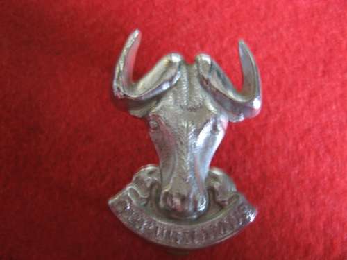 Regt Port Natal chrome beret badge