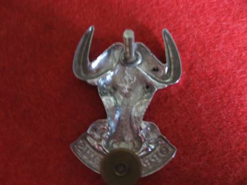 Regt Port Natal chrome beret badge