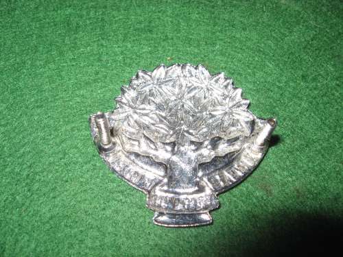 Regiment Vrystaat cap badge