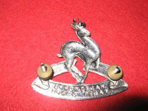 SA Cadet Corps, large chrome cap badge