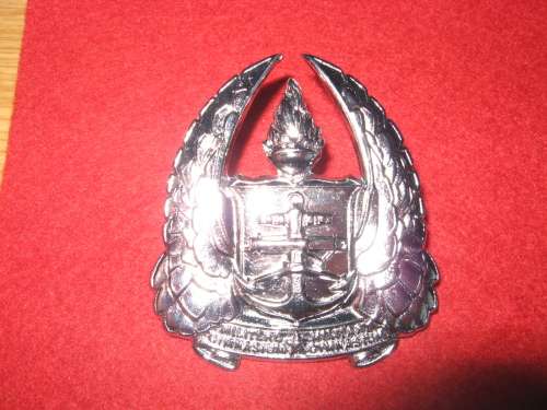 SA Army Gymnasium large cap badge chrome