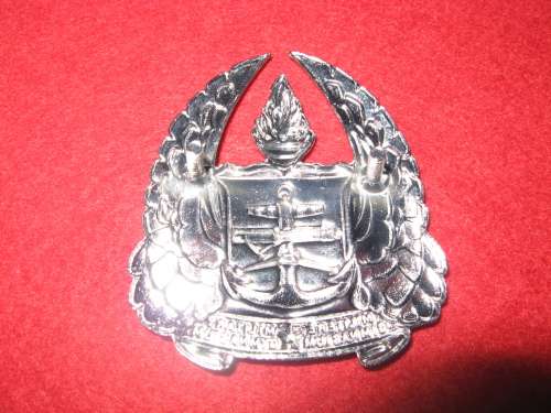 SA Army Gymnasium large cap badge chrome