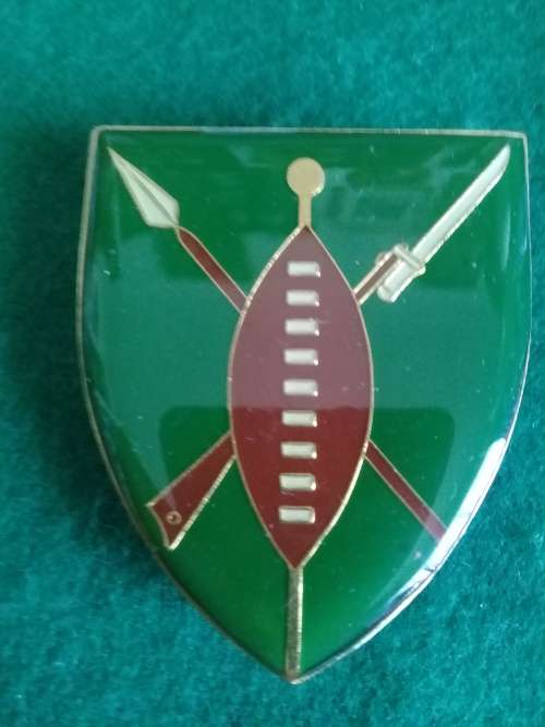 Transkei Defence Force Flash all pins