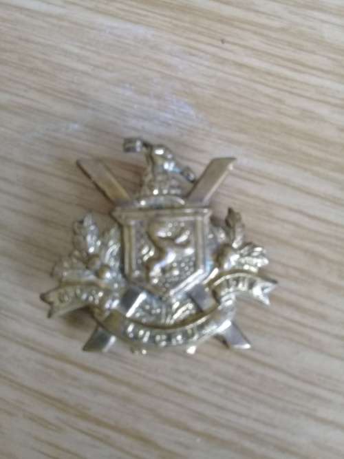 WWI SA brigade 4 SAI collar badge (Mors Lucrum Mihi)