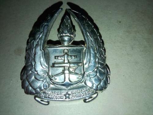 Army Gymnasium large cap badge D730 but chrome
