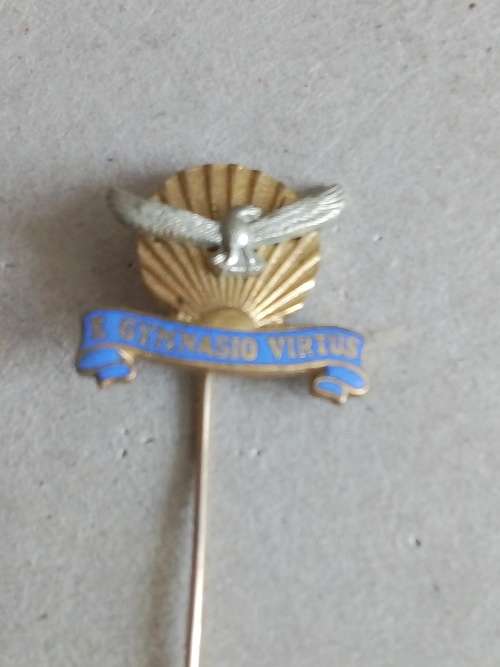 SAAF Gymnasium pin badge