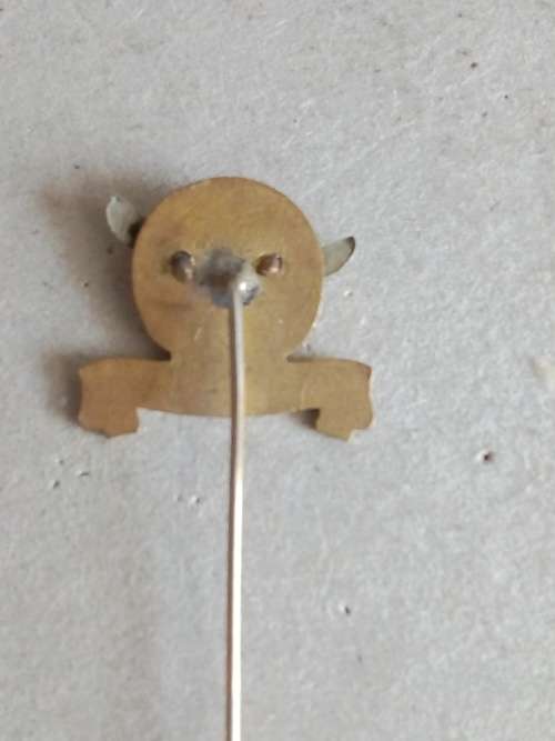 SAAF Gymnasium pin badge