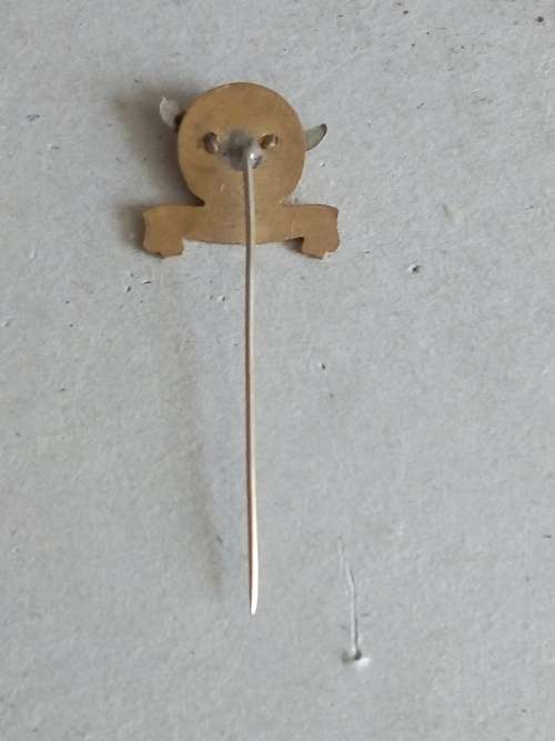 SAAF Gymnasium pin badge