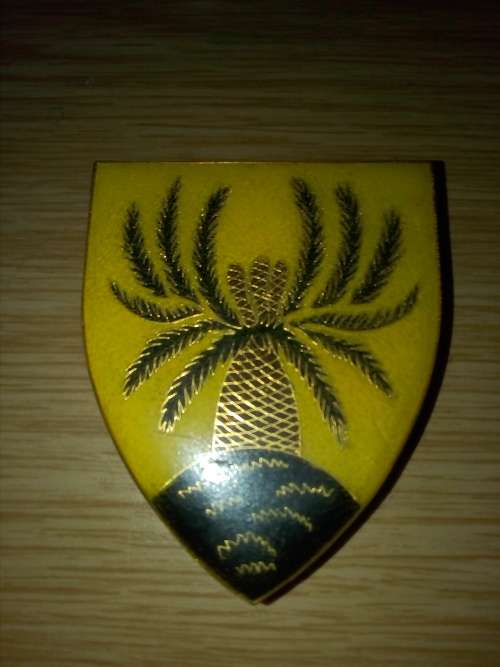 4 SA Infantry flash all pins