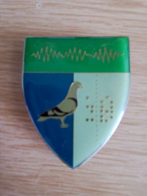 2 Signal Regiment flash, all pins