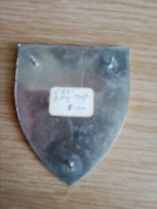 2 Signal Regiment flash, all pins