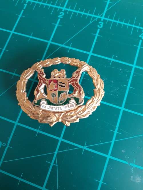 SAP Warrant Officer brass and enamel sleeve badge