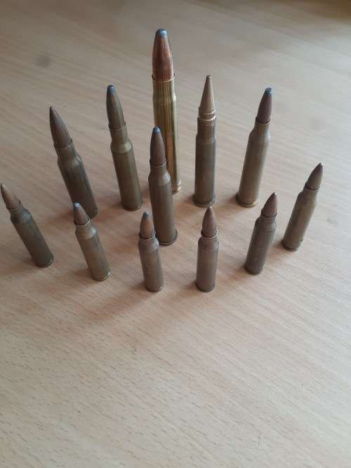 selection of 12 bullet casings, all deactivated.
