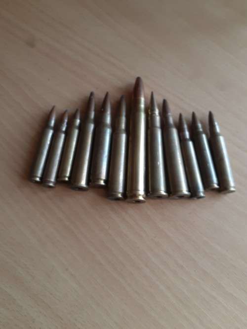 selection of 12 bullet casings, all deactivated.