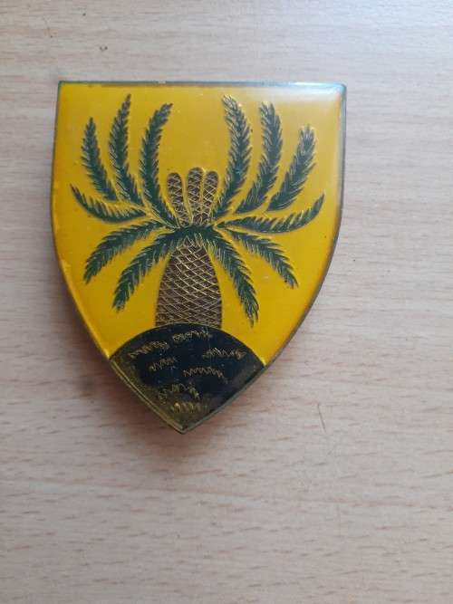4th SA Infantry Battalion flash D4393 all pins