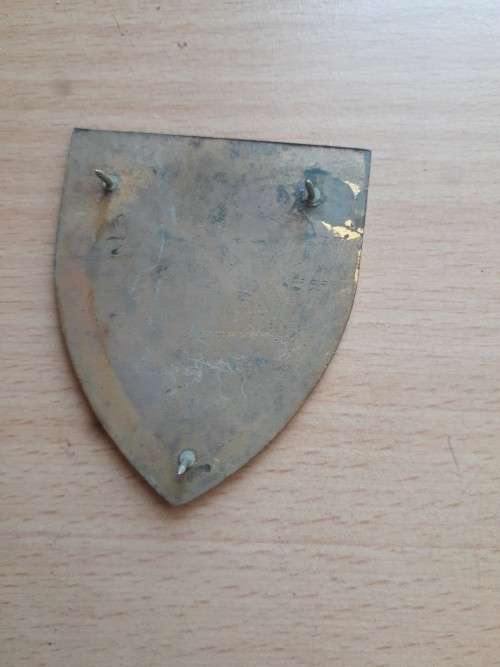 3rd SA Infantry Battalion flash D4391 all pins
