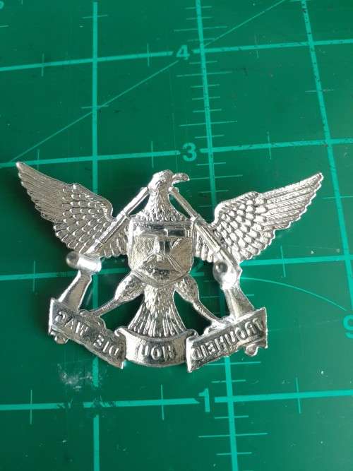 Regiment De Wet chrome cap badge