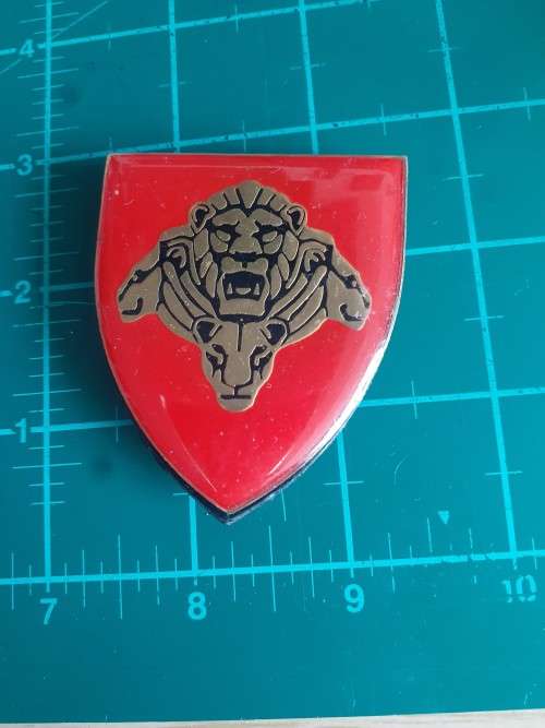 SA Army Pride of Lions metal flash, all pins