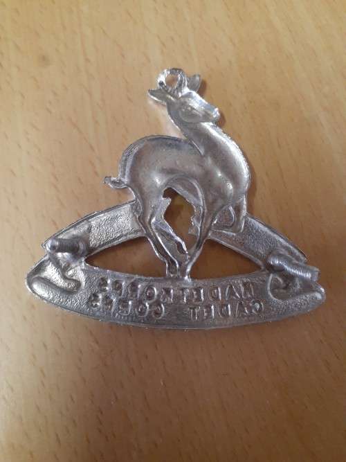 South African Cadet Corps large chrome cap badge