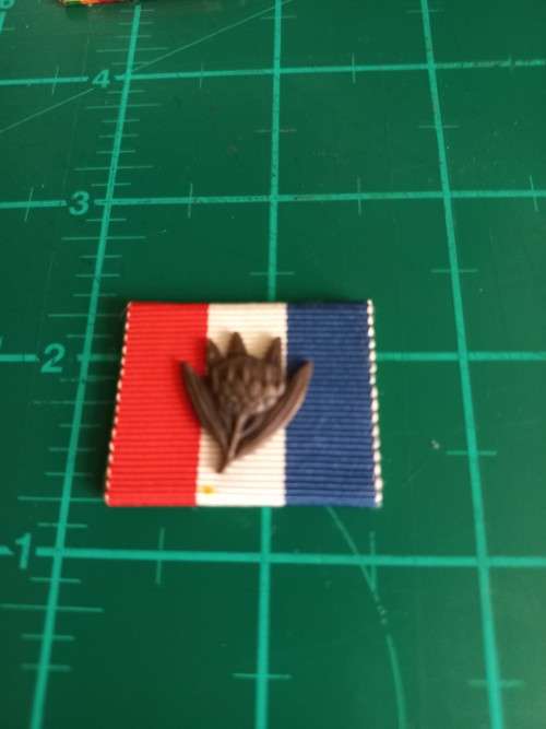 SA Medal for War Services ribbon with bronze King Protea King's Commendation emblem