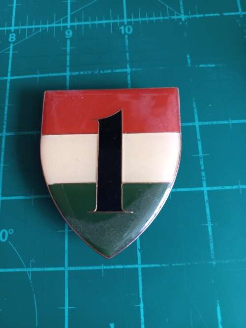 1 Battalion Transkei Defence force flash