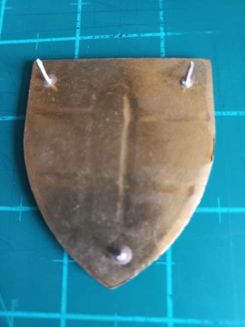 1 Battalion Transkei Defence force flash