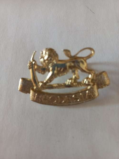 Rhodesian General Service anodised cap badge