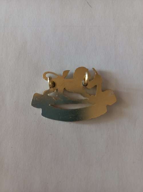 Rhodesian General Service anodised cap badge