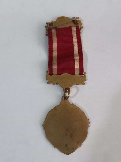 The Order of the Sons of Temperence Medal