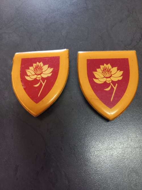 SADF Women`s College metal flash pair all pins