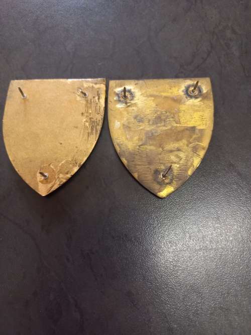 SADF Women`s College metal flash pair all pins