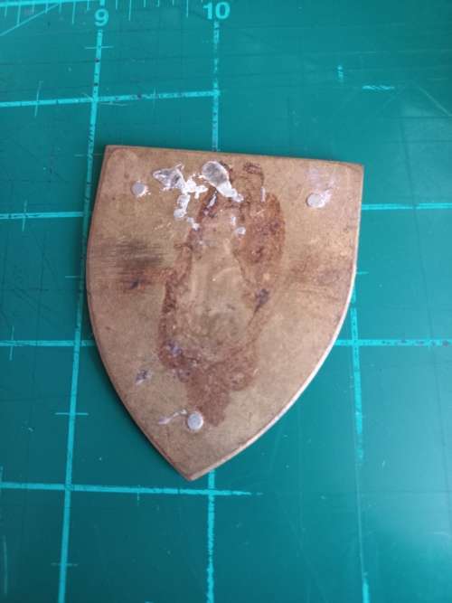 SADF State President`s Guard flash no pins