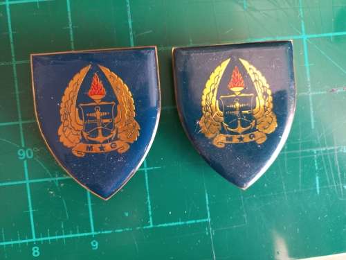 SADF Army Gymnasium flashes pair all pins