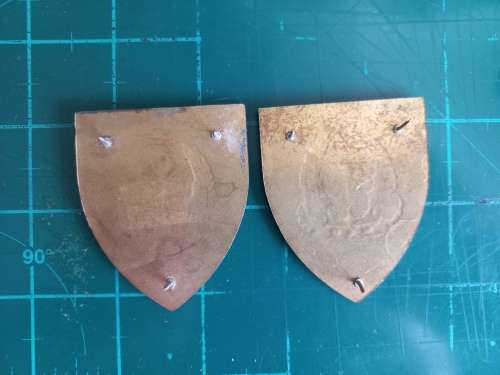 SADF Army Gymnasium flashes pair all pins
