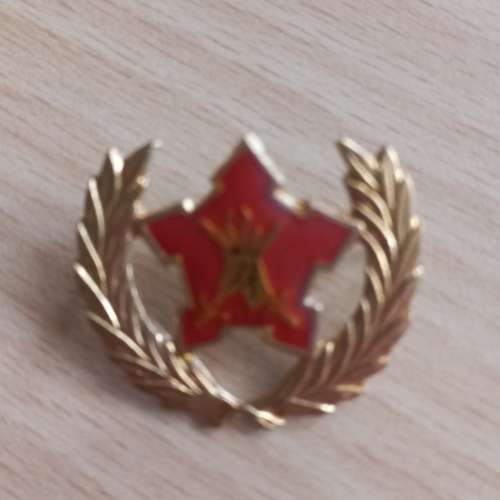 SADF 5 Year Voluntary Service Breast badge