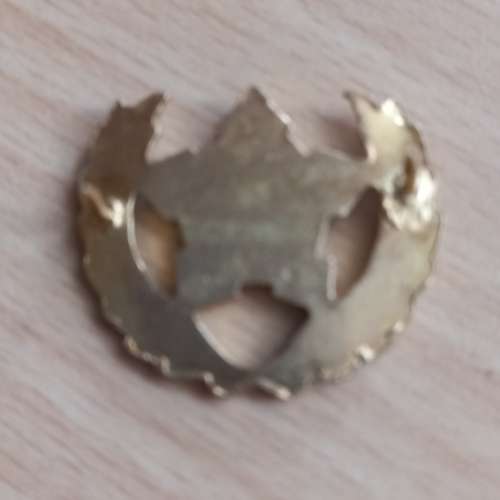SADF 5 Year Voluntary Service Breast badge