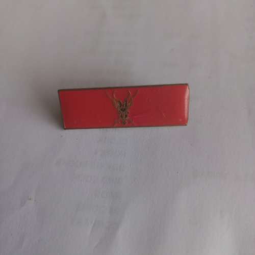 SADF Chief of Staff command bar all pins
