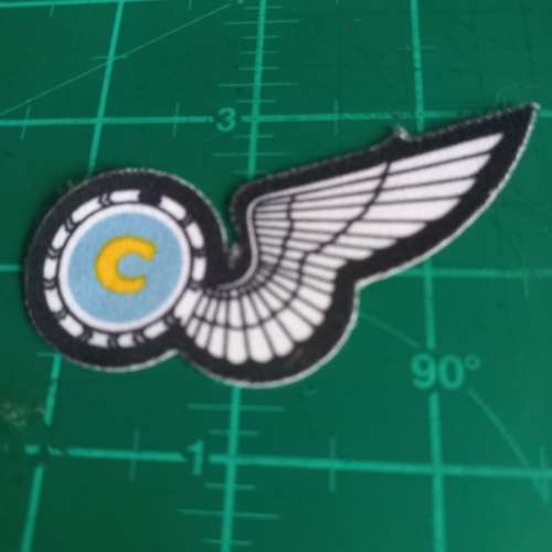 SA Air Force Flight Chef half wing, screen printed