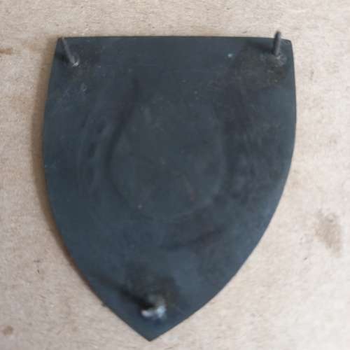 SADF Transkei Mounted Battalion flash all pins