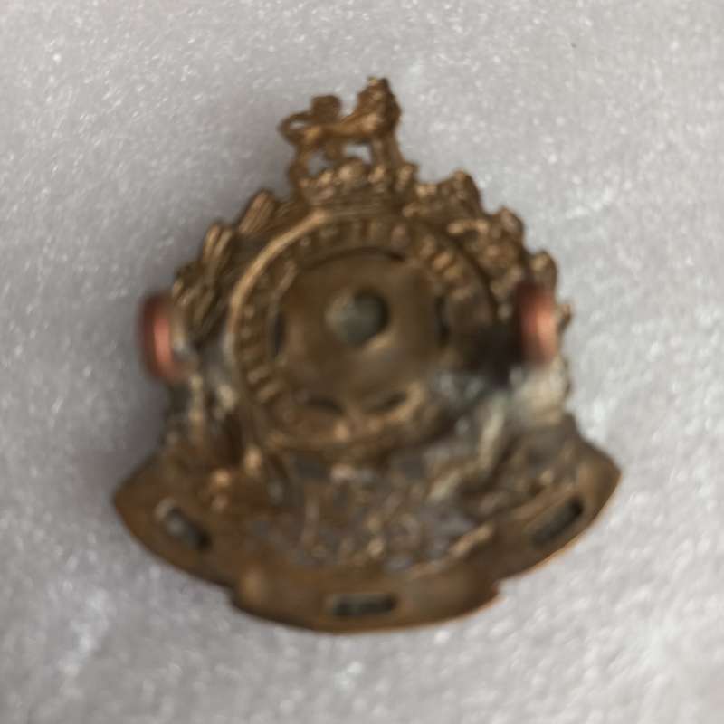 UDF Prince Alfred`s Guard BiM cap badge, Owen 54