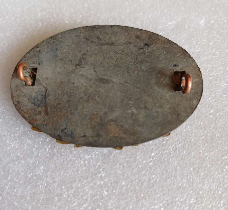 UDF, British & Commonwealth  WO sleeve badge