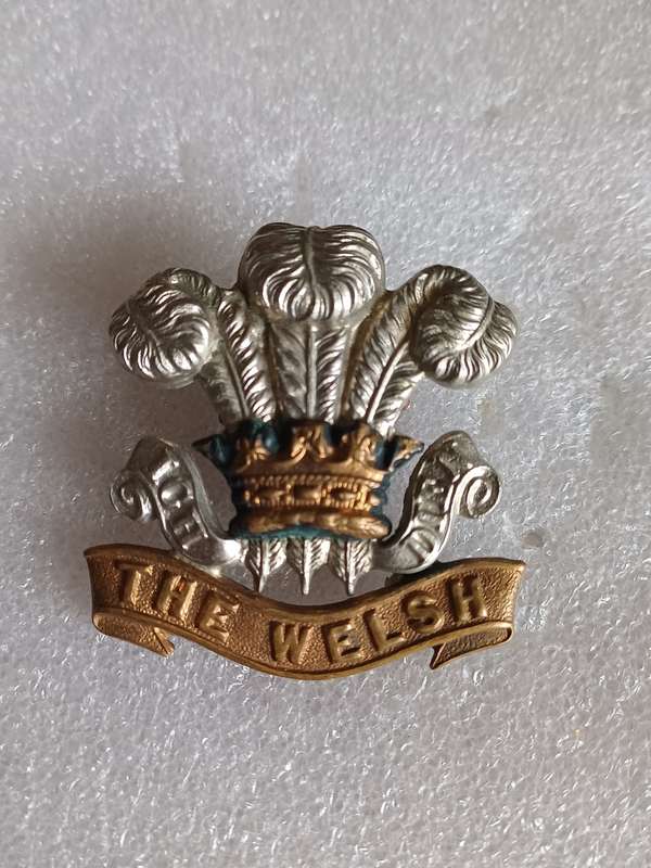 British Army Welsh Regt BiM cap badge