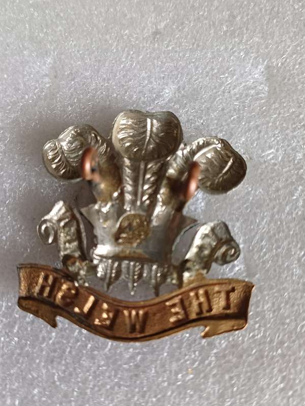 British Army Welsh Regt BiM cap badge